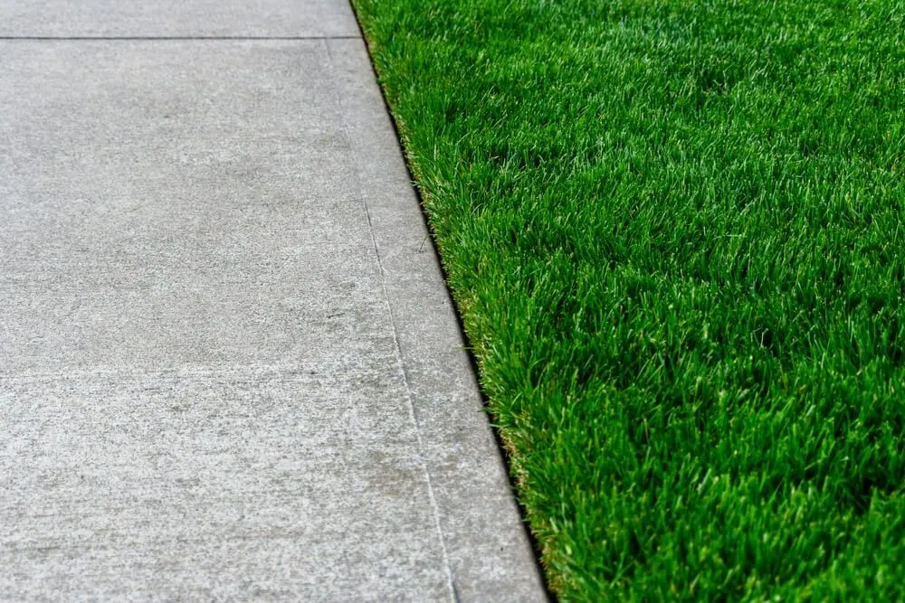 Freshly edged lawn in Hampton Roads